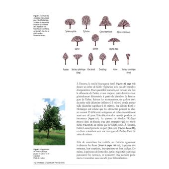 Pommes et cidre en pays d'Othe