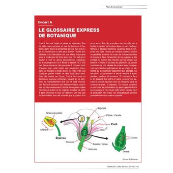 Pommes et cidre en pays d'Othe
