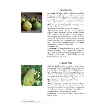 Pommes et cidre en pays d'Othe