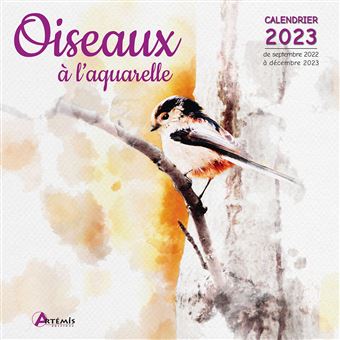 Calendrier Oiseaux 2023 Calendrier Oiseaux À L'aquarelle 2023 - Dernier Livre De Collectif -  Précommande & Date De Sortie | Fnac