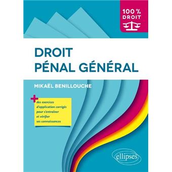 Droit Penal General Broche Mikael Benillouche Achat Livre Fnac