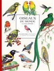 Oiseaux du monde à colorier