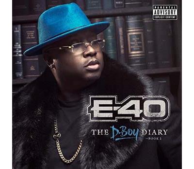D boy diary book 2