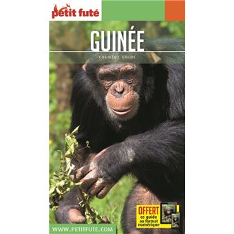 Guide Guinée 2020 Petit Futé