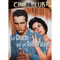 La chatte sur un toit brûlant