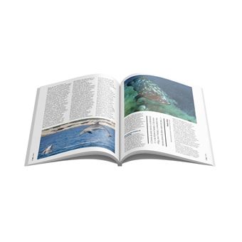 L'île du Levant : libre ou sacrifiée ?