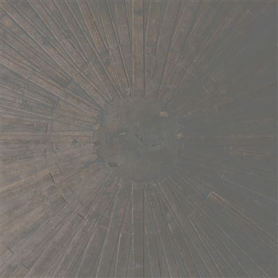 SELVA OBSCURA