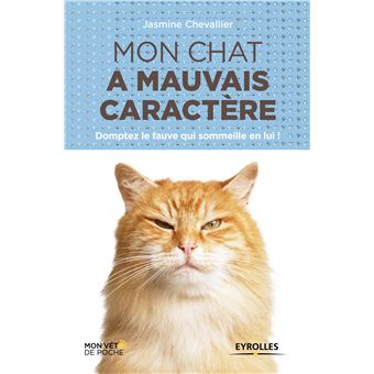 Mon Chat A Mauvais Caractere Domptez Le Fauve Qui Sommeille En Lui Poche Jasmine Chevallier Achat Livre Ou Ebook Fnac