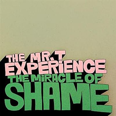 The Miracle Of Shame