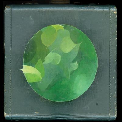 Mosaics within mosaics - Inclus MP3
