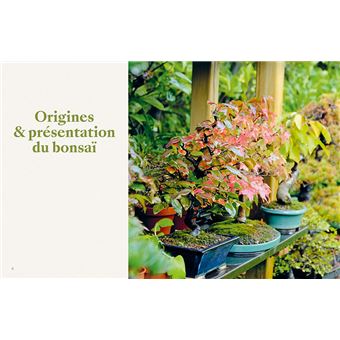 L'art du bonsaï - Guide pratique et philosophique