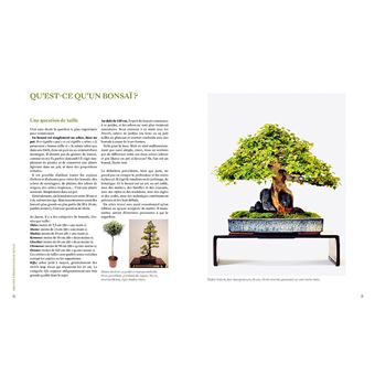 L'art du bonsaï - Guide pratique et philosophique