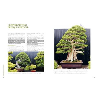 L'art du bonsaï - Guide pratique et philosophique