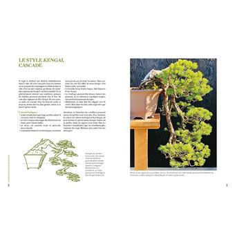 L'art du bonsaï - Guide pratique et philosophique