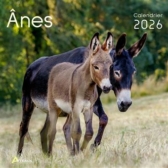 Calendrier ânes 2026