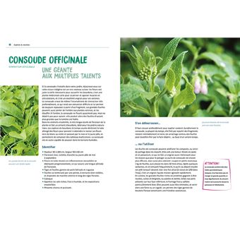 Manger ses mauvaises herbes - Du jardin à l'assiette