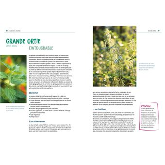 Manger ses mauvaises herbes - Du jardin à l'assiette