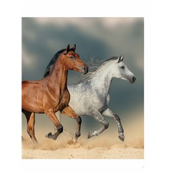 Chevaux de rêve - Les plus belles races du monde