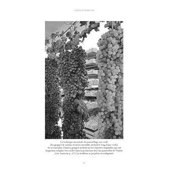 Découvrir les vins d'Italie