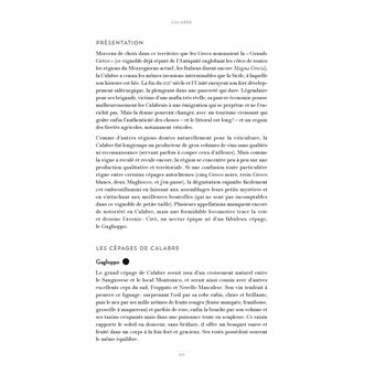 Découvrir les vins d'Italie