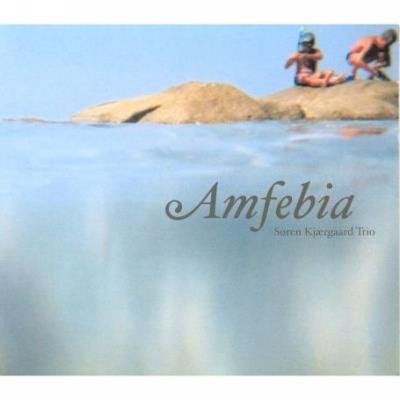 Amfebia