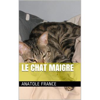 Le Chat Maigre Ebook Epub Anatole France Achat Ebook Fnac