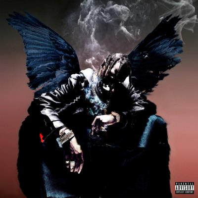 BIRDS IN THE TRAP SING MCKNIGH/2LP