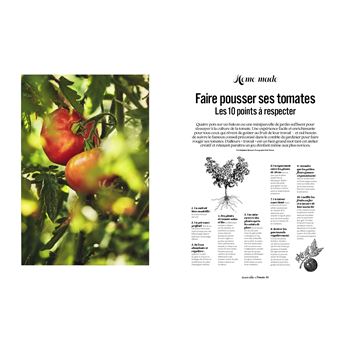 Les grands cahiers 180°C - Tomate