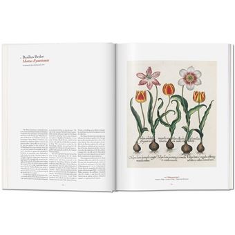 A Garden Eden. Masterpieces of Botanical Illustration