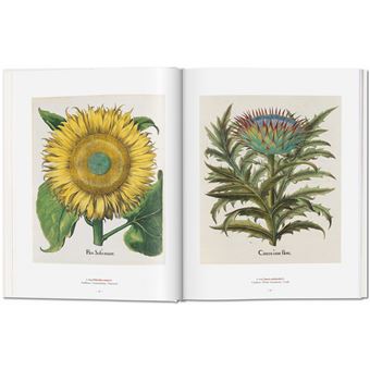 A Garden Eden. Masterpieces of Botanical Illustration