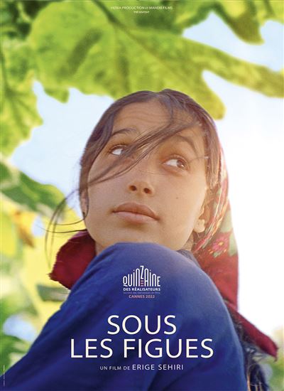 Sous les figues DVD
