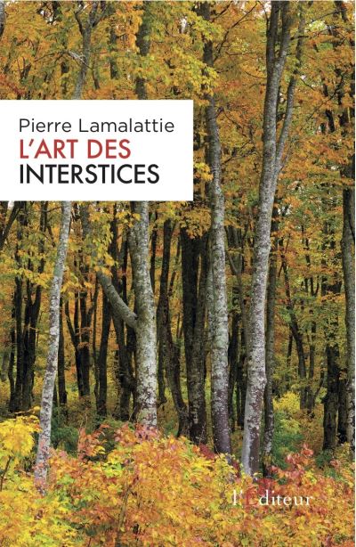 L’art des interstices