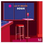 Lo-Fi Beats House - Vinilo