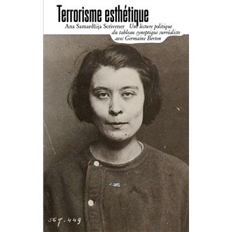 Terrorisme esthétique