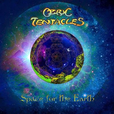 SPACE FOR THE EARTH