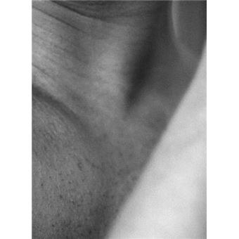 Butterflies And Caterpillars