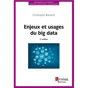 Enjeux et usages du big data