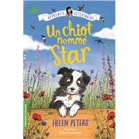 Un chien de berger nomme star