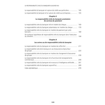 La responsabilite du banquier aujourd hui