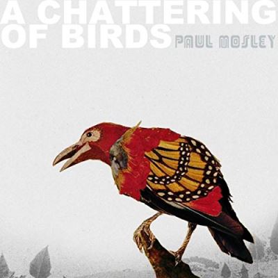 A chattering of birds
