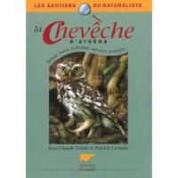 La chevèche d'Athéna biologie moeurs mythologie protection