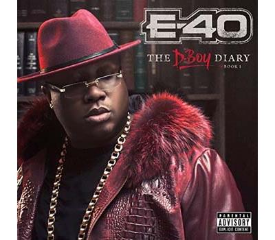 D boy diary book 1