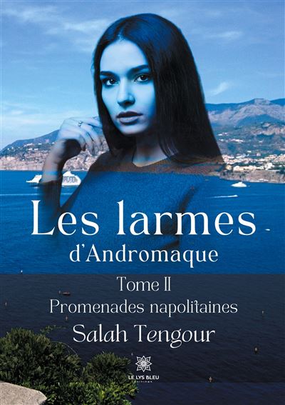 Les larmes d'Andromaque - Salah Tengour - broché