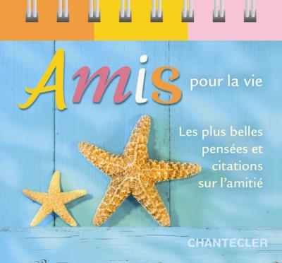 Amis Pour La Vie Les Plus Belles Pensees Et Citations Sur L Amitie Broche Collectif Achat Livre Fnac