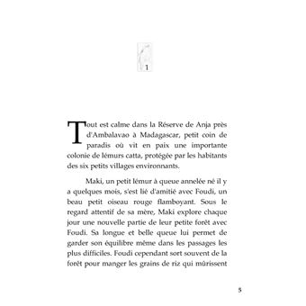 Maki et Foudi - L'histoire de l'oiseau et du petit lémur qui ont sauvé leur forêt !