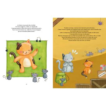Coffret Mes adorables histoires de chatons