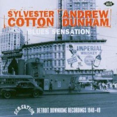 Blues sensation : Detroit Downhome Recordings 1948 - 49