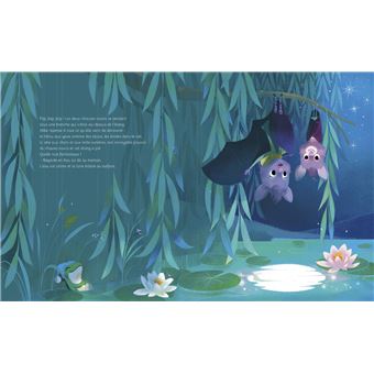 Promenade sous les étoiles