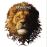 BSO The Lion King: The Songs - LP 12''_0