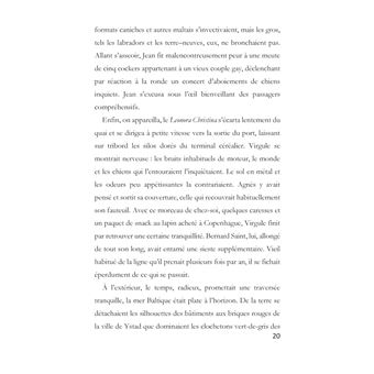 Un chihuahua dans la théière